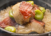 先付3品
大間本鮪 鯖寿司 平目
牡蠣真薯 芽蕪
とらふぐ薄造り
香箱蟹塩茹で
海老芋蕪土佐煮京人参車海老
のどぐろ炭火焼
ずわい蟹ご飯
赤出汁香の物
 打ち立て葛切り