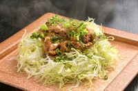 気仙沼で良く食べられるホルモン炒め。キャベツと一緒に『宮城　気仙沼ホルモン』