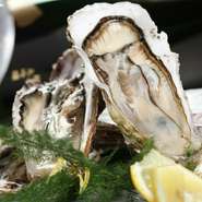 その日に水揚げされた新鮮な佐渡島産の極上岩牡蠣。濃厚でミルキーな味わいを是非ご堪能下さいませ。