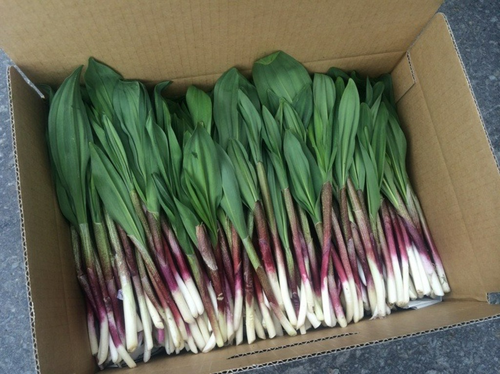 こだわり1、釧路の自然の恵みを中心とした食材を使用