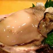 手にしっくりなじむ器でなら、お酒が一段とすすみそう。お酒はビールから本格焼酎と豊富にそろっていますが、なかでも日本酒は北陸三県の地酒に特化。生産数の少ない希少な日本酒や、季節限定のお酒も味わえます。