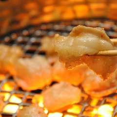 新鮮なホルモンは塩だけでもいける！　ビールがすすみます