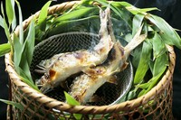 「香魚」とも言われる「鮎」をジューシーでふんわりと焼き上げた逸品です。記憶に残る味に出会えます。