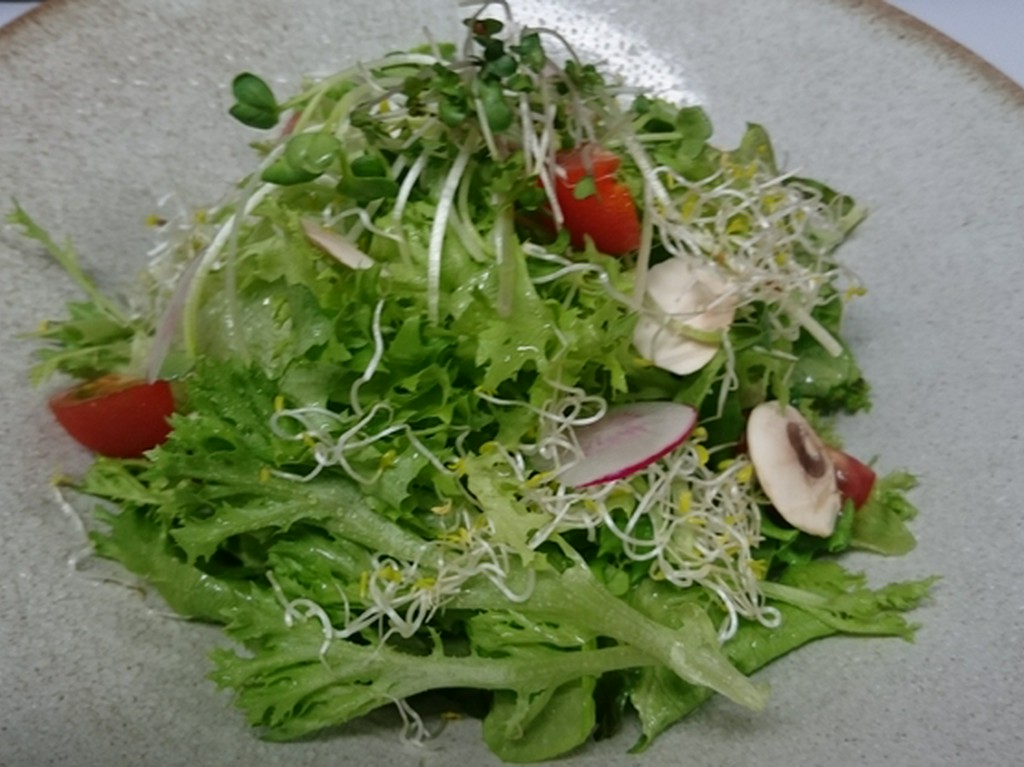 富山県産水耕栽培レタスのグリーンサラダ