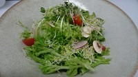 富山県産水耕栽培レタスのグリーンサラダ