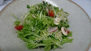 人気の『富山県産農薬不使用グリーンサラダ』
