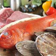 鉄板焼きをメインに、和食を取り入れたメニューが楽しめます。千葉で朝獲れたばかりの鯖を使った〆鯖や三崎の金目鯛など、関東の港であがったばかりの魚介類を中心に使用。
