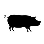 金アグーは「琉球在来豚アグー」の血統が50％以上で独自の配合飼料によって沖縄県内で飼育された豚です。味わいは柔らかくてジューシー、脂身がさっぱりしていてしつこくないのが特徴です。