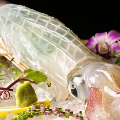 유스케 하카타 본점