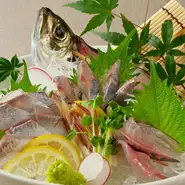 旬鯵の活き造り