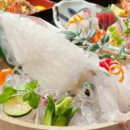 生け簀を完備しており活きイカを堪能できます