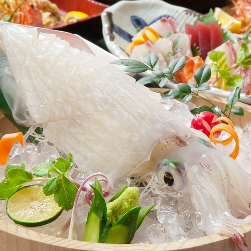 生け簀を完備しており活きイカを堪能できます