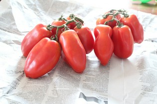 立川野菜中心に食材の味を生かし風味をプラスした香り豊かな料理