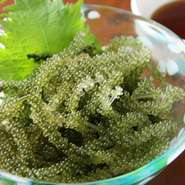 沖縄から仕入れた『海ぶどう』は、プチプチとした食感が特徴の海藻です。前菜として、おつまみとして、男女問わず人気のメニュー。透き通ったグリーンの粒から弾ける、爽やかな風味を味わえます。