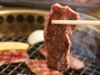 全席個室でゆったりと。赤身の旨みを中心に、海の恵みも織り交ぜた贅沢なコースをぜひご堪能ください