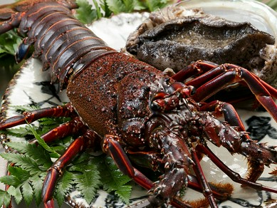 アニバーサリー「雅コース」お２人様用　ブーケのサービス付き