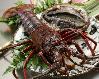 特選但馬牛神戸サーロインと九州産特選黒毛和牛フィレステーキ、季節の魚介類といろいろ楽しめるコースです