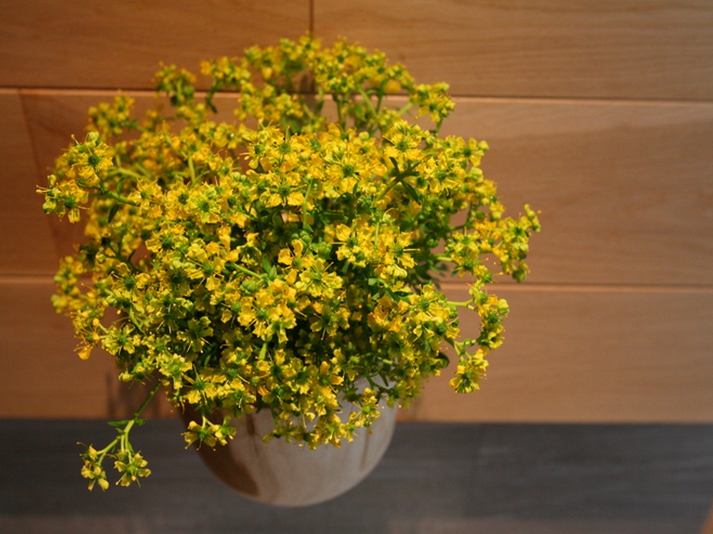 食べるだけ、ではない、生産者からのありがたいギフト