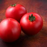 「この美味しいトマトがあればこそつくれる」というメニューも増えている、いながきファームから送られてくる神戸トマト。コースの各皿に特に名前はなく、ほとんどを素材名で呼んでいます。