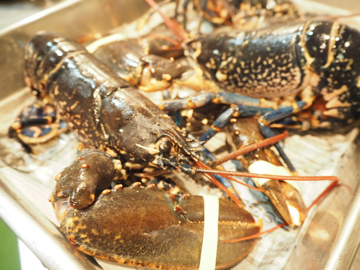 【디너】셰프의 추천 코스 MenuC(세・사별)