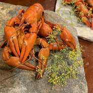 夏限定の食材、茹で上げた阿寒湖産のウチダザリガニはスウェーデンならではの料理です。
是非ご自身で剥いてその美味しさを楽しんでください！