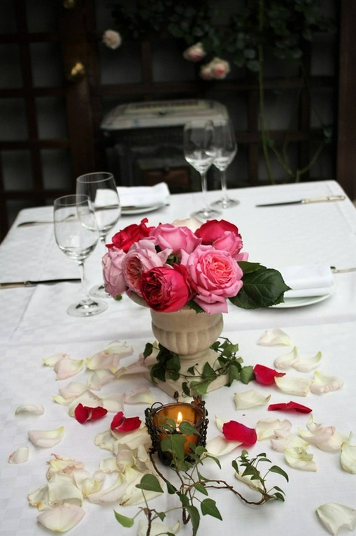 今日は、いつもと違う顔を見せてくれます