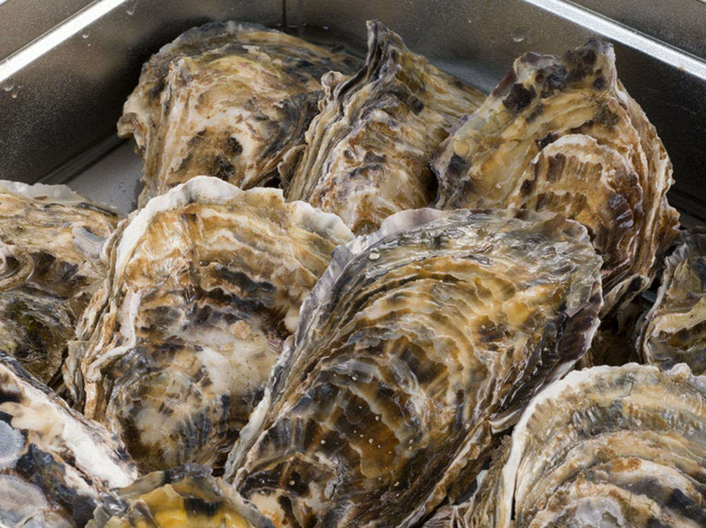 『かきのがんがん焼』は、豪快な浜料理が原点