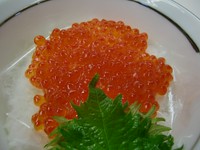50ｇ以上のいくらたっぷり丼！
めん類、焚物が付きお得な料理！