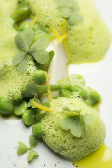 厳選した季節の食材をふんだんに使用した『naturamディナーコース』