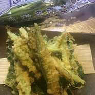 蕗のとう、タラの芽、葉わさび等春の訪れを告げる食材が沢山！