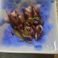 兵庫香住のホタルイカ。