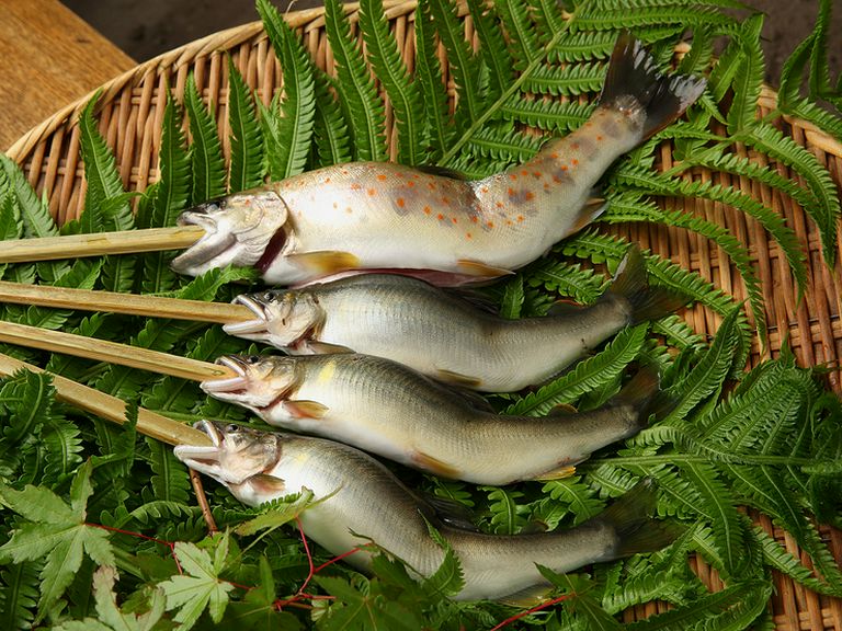 天然物にこだわった地元で採れるジビエ、鮎、鰻、松茸、きのこを