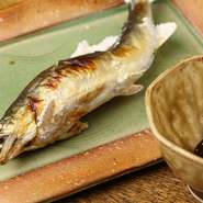 「新鮮な食材」であれば日本全国どこでも楽しめますが、この【柳家】が特別なのは地の利を活かした丁寧な下処理。都市部のお店ではできない、食材を活かす長年のノウハウに裏付けられた美味しさを堪能できます。