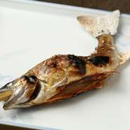 夏場は、鮎を含めて、2～3品、川魚を提供。このアマゴは7月上旬まで味わえる山魚の一例。カリカリに焼いた岩魚を、骨酒にしてくれることもあります。