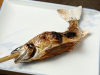 夏場は、鮎を含めて、2～3品、川魚を提供。このアマゴは7月上旬まで味わえる山魚の一例。カリカリに焼いた岩魚を、骨酒にしてくれることもあります。