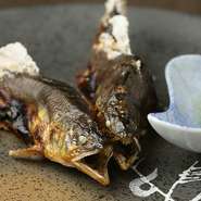 岐阜県下の名鮎を炭火で丁寧に仕上げた『天然鮎　塩焼き』