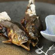 「和良鮎」や「馬瀬鮎」「郡上鮎」など岐阜県下の名川で取れる天然鮎を使用。丁寧な下処理で美しく美味しく仕上げた逸品を、5月下旬から、落ち鮎漁が終わる11月半ばまで頼んできます。