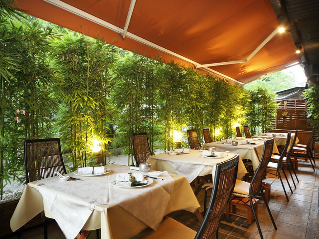 眼前に広がる新宿御苑の緑豊かな四季を楽しめるテラス席