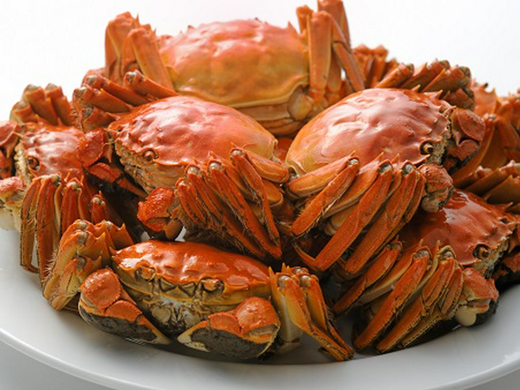 陽澄湖産上海蟹