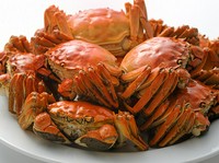 紹興酒漬け¥4000/姿蒸しメス¥4000 オス¥5000
(姿蒸しは身をほぐしてご用意致します)