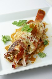 赤ハタの姿蒸し広東風（100g～）