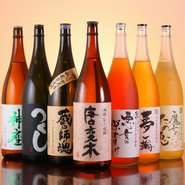 店主が厳しい目で選び抜いた麦焼酎や芋焼酎をはじめ、人気の極上梅酒『悪女の深情け』など、梅酒や果実酒なども種類豊富にございます。
