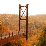 交野一有名なスポット、吊り橋【星のブランコ】で絶景！ハイキングの際にお越しになられる方も多いです。