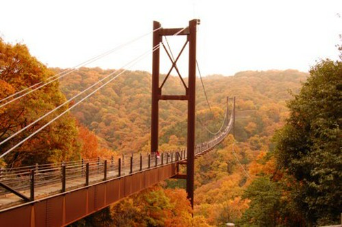 交野人気スポット《ほしだ園地・星のブランコ》　※車で約5分