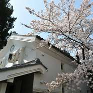 四季の移ろいを感じる日本庭園。
特に春には、蔵と桜のコラボは秀逸