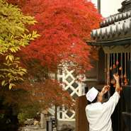 日本庭園には四季の美しさを表現する木々が様々ございます。