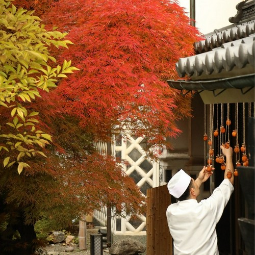 春には桜。秋には紅葉がご覧いただけます。