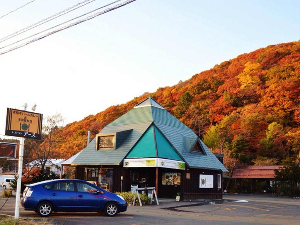 暖炉の火の自然エネルギーで暖房。自然にやさしいログハウスの店