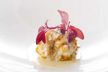 RICCI cucina italiana