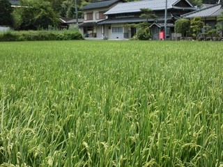 太陽と気温の寒暖差